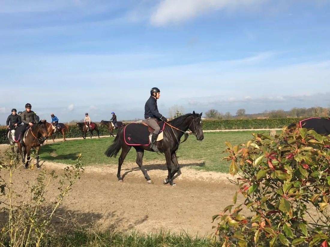 CERGO Chevaux_10 02 22_AVC